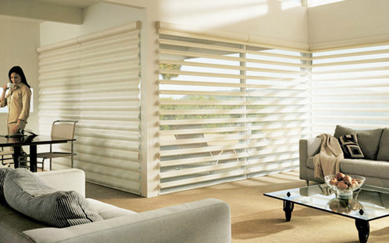 top-blinds-companies-in-delhi.jpeg